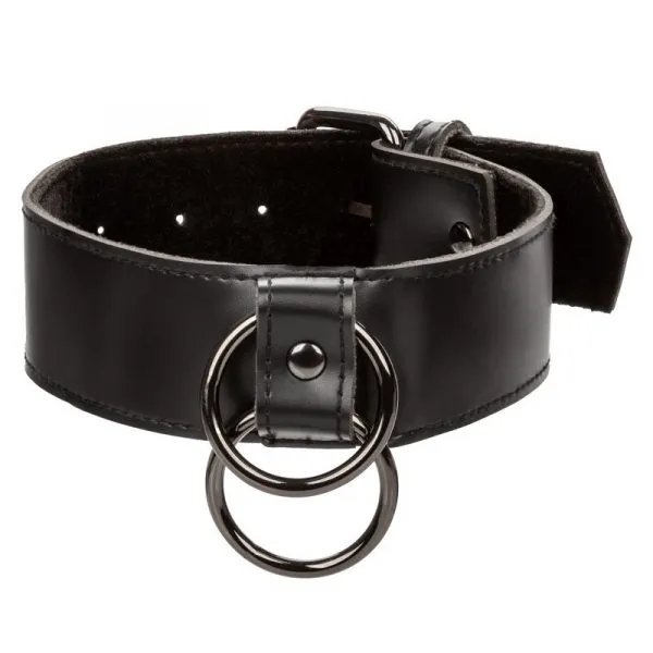 Euphoria Collection Collar with Chain Leash