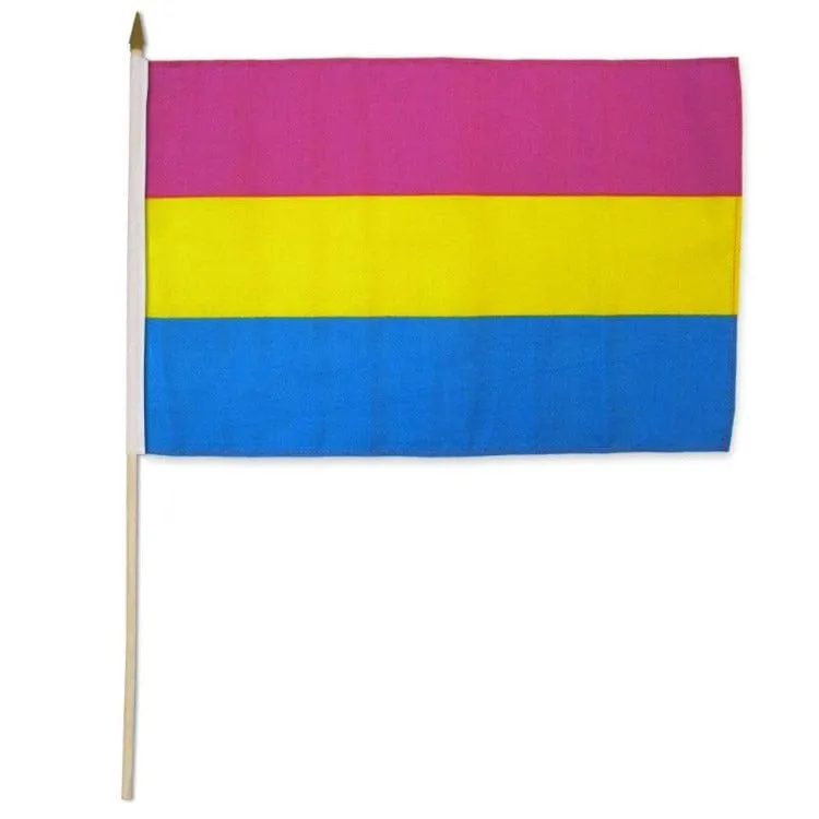 Flags Importer 12 x 18 Pansexual Stick Pride Flag