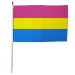 Flags Importer 12 x 18 Pansexual Stick Pride Flag