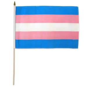 Flags Importer 12 x 18 Transgender Stick Pride Flag