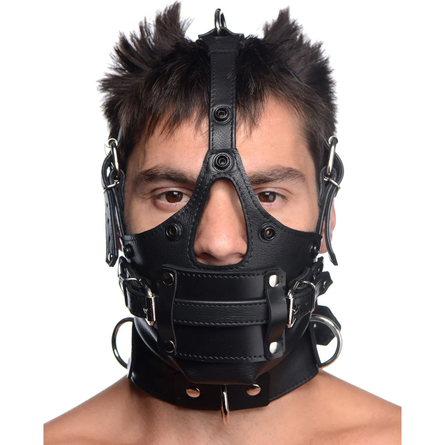 Leather Head Harness With Removeable Gag