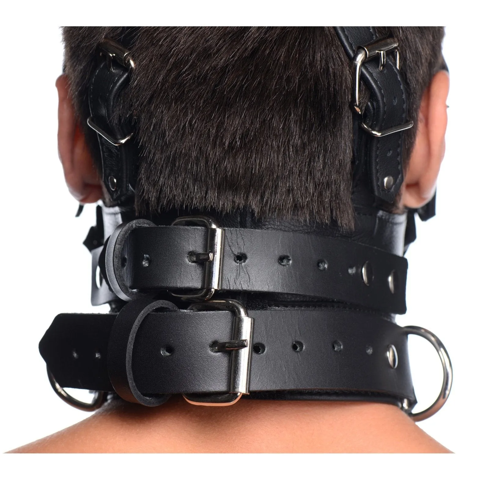 Leather Head Harness With Removeable Gag