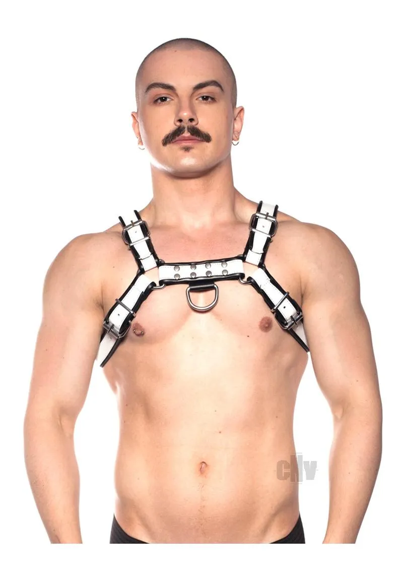 Prowler Red Bull Harness Bk/wht Xl