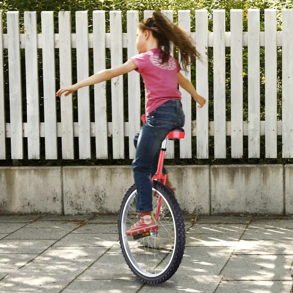 TheLAShop 24 inch Wheel Unicycle Multiple Color